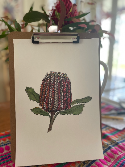 Original Australian Banksia painting artwork. Watercolour pencil red native flower drawing