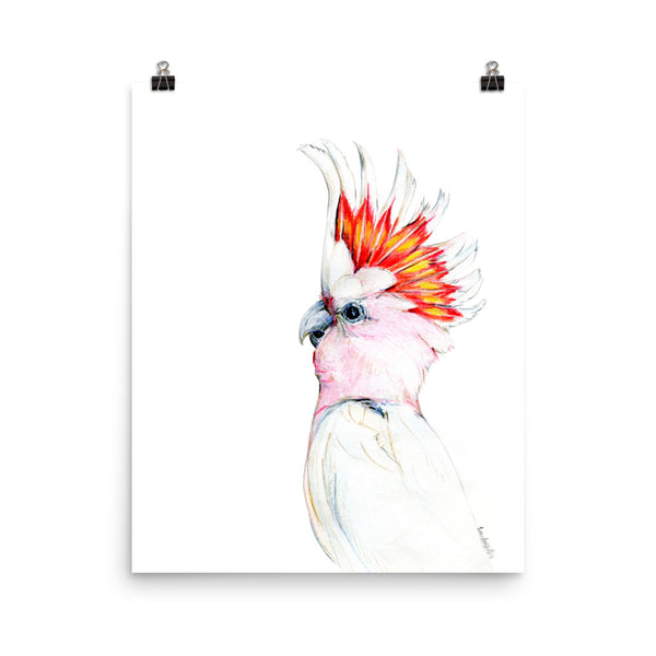 Australian Major Mitchel Cockatoo watercolour art print.