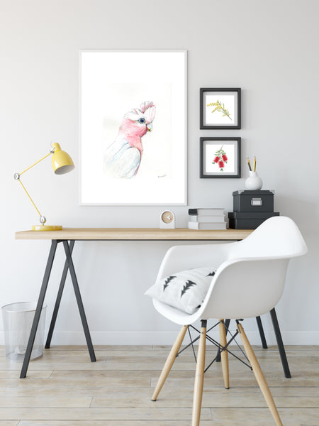 Australian pink Galah watercolour art print.