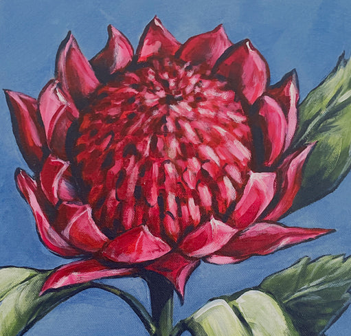 Australian Waratah acrylic framed canvas painting. 32.5cm x 42cm
