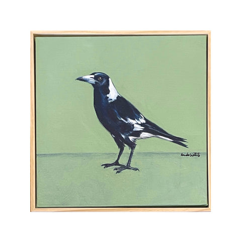 Australian Magpie acrylic painting