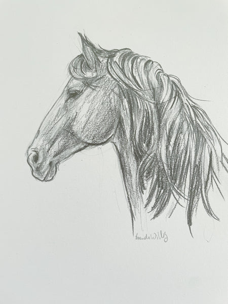 Original Black and White horse pencil sketch A4