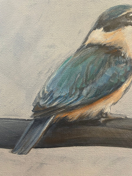Australian Sacred Kingfisher acrylic painting
