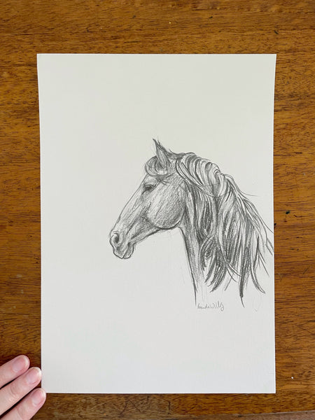 Original Black and White horse pencil sketch A4