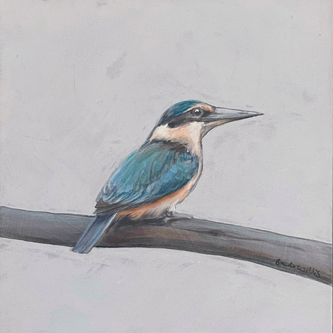 Australian Sacred Kingfisher acrylic painting