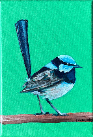 Original Australian Blue Wren mini acrylic painting #2
