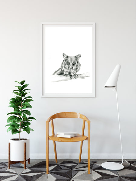 Black and white Australian Brushtail Possum drawing print