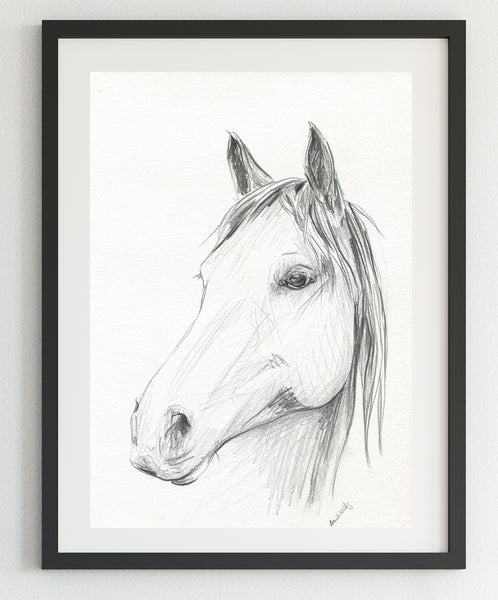 Original Black and White horse pencil sketch A4
