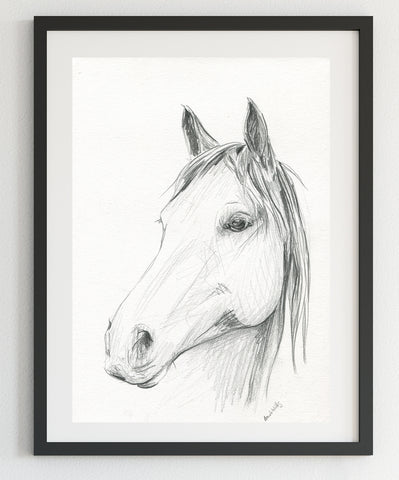 Original Black and White horse pencil sketch A4