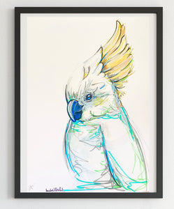 Original  Australian Cockatoo artwork A4