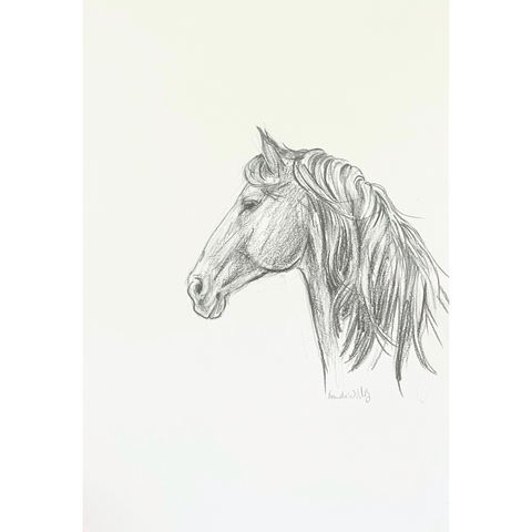 Original Black and White horse pencil sketch A4