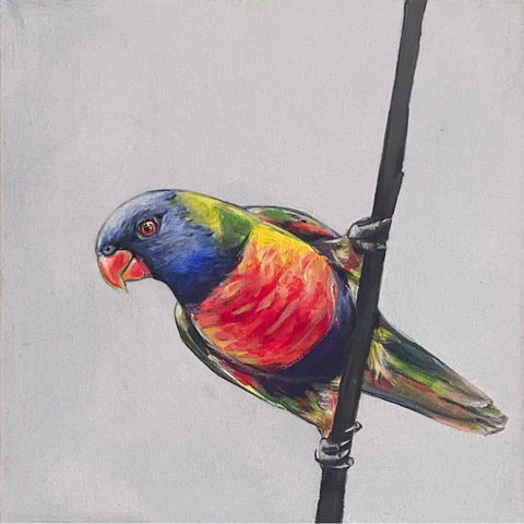 Australian Rainbow Lorikeet acrylic painting