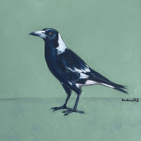 Australian Magpie acrylic painting