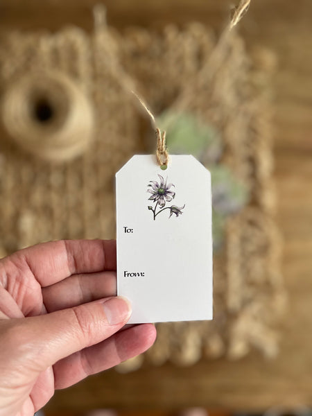 Green Australian Flannel Flower gift tags x10