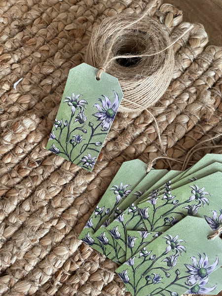 Green Australian Flannel Flower gift tags x10