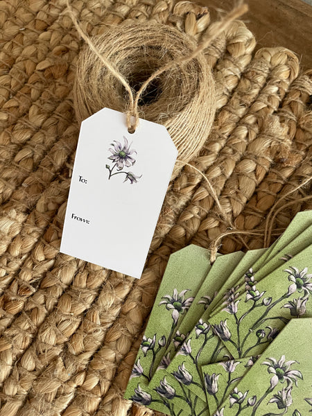 Green Australian Flannel Flower gift tags x10
