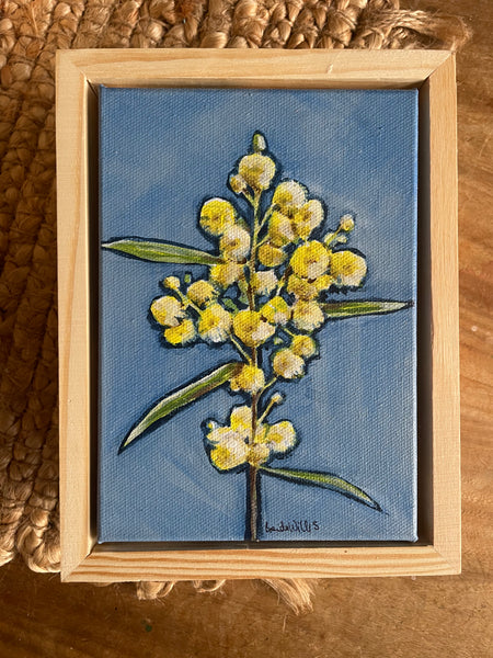 Australian Wattle mini framed acrylic painting