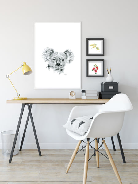 Black and white Australian Koala  print