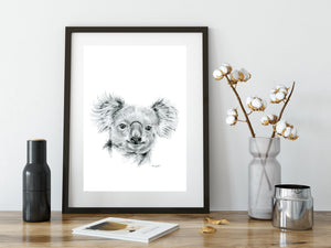 Black and white Australian Koala  print