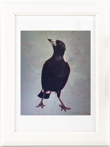 Australian Magpie 'Handsome' painting artwork print