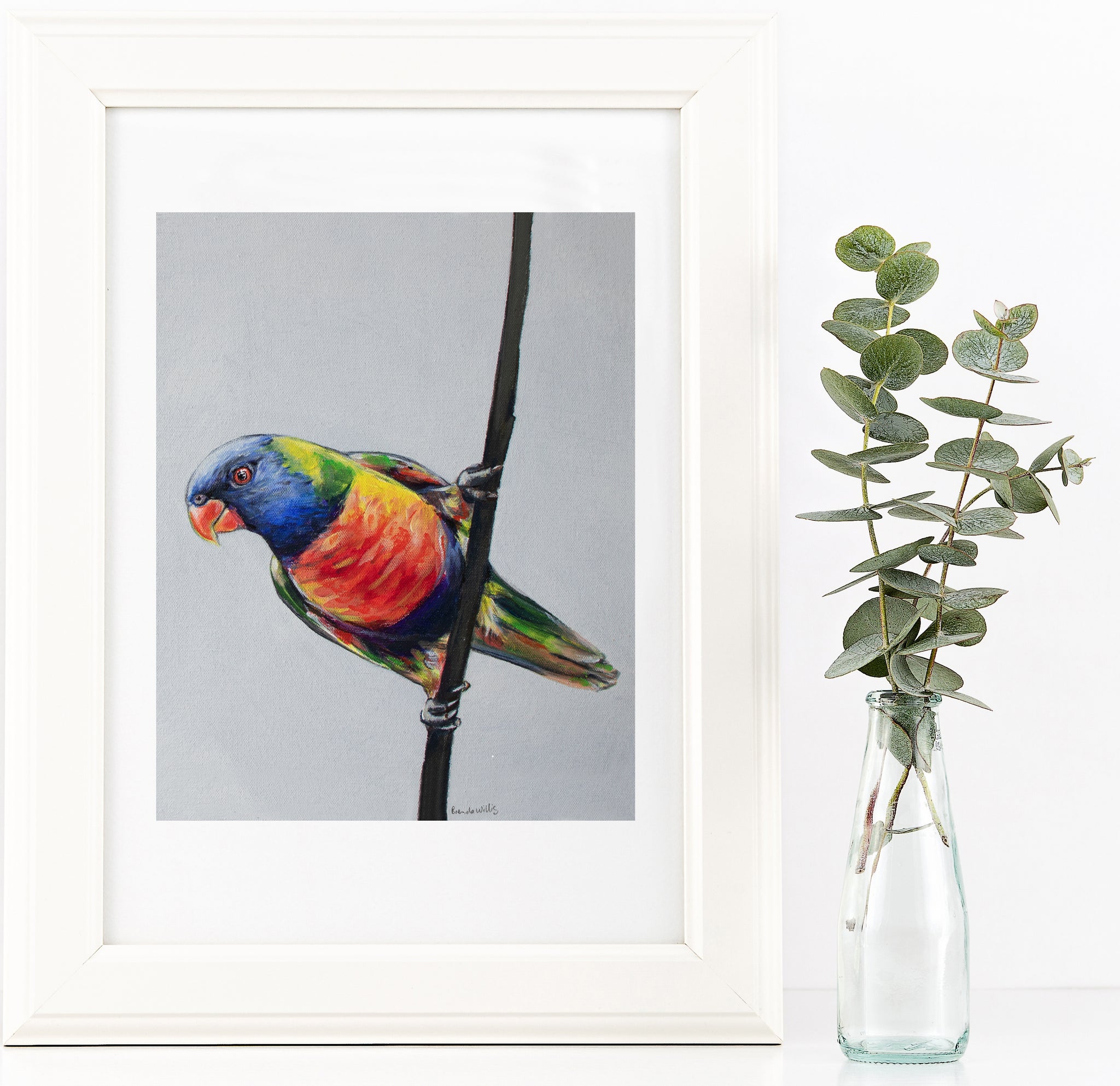 Australian Rainbow Lorikeet painting print