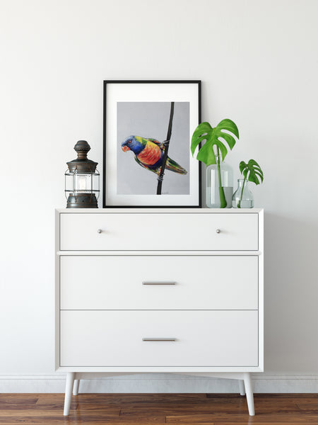 Australian Rainbow Lorikeet painting print