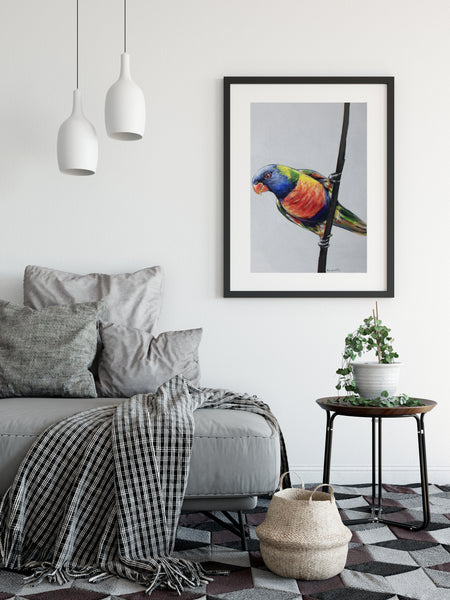 Australian Rainbow Lorikeet painting print