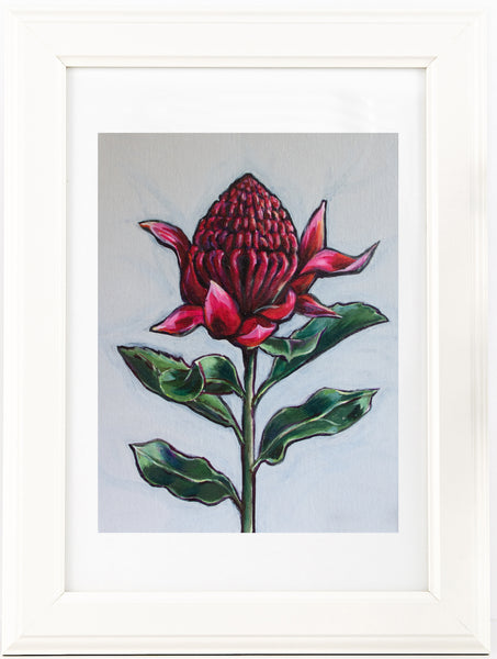 Australian Waratah 'Strength' painting print