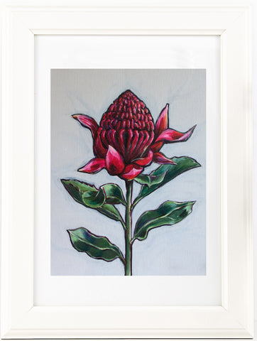 Australian Waratah 'Strength' painting print