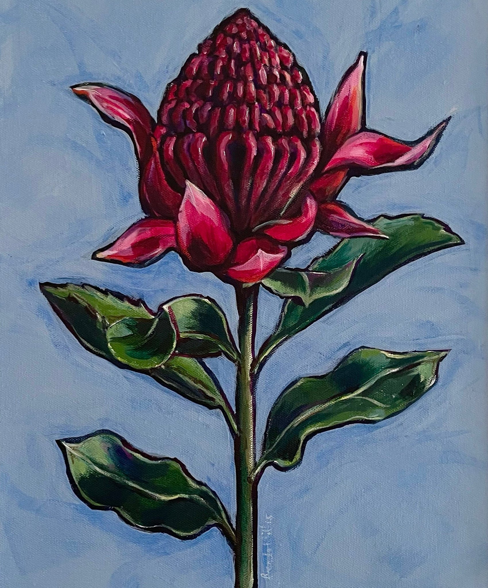 Australian Waratah 'Strength' acrylic canvas framed painting. 32.5cm x 42cm