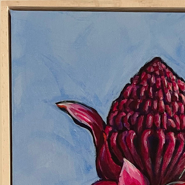Australian Waratah 'Strength' acrylic canvas framed painting. 32.5cm x 42cm