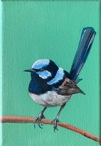 Original Australian Blue Wren mini acrylic painting #1