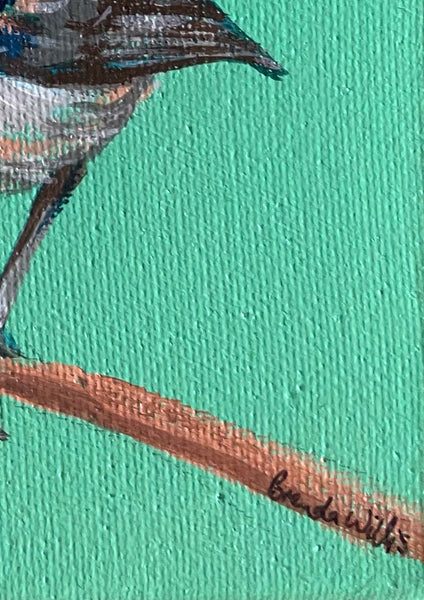 Original Australian Blue Wren mini acrylic painting #1