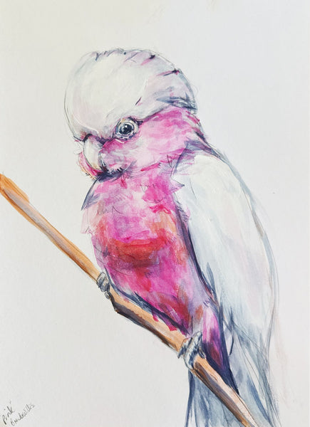 Australian Pink Galah painting A4