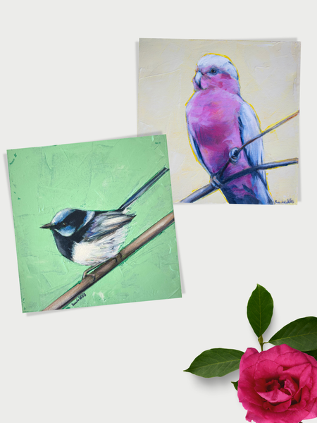 Australian native birds greeting card 6 pack.