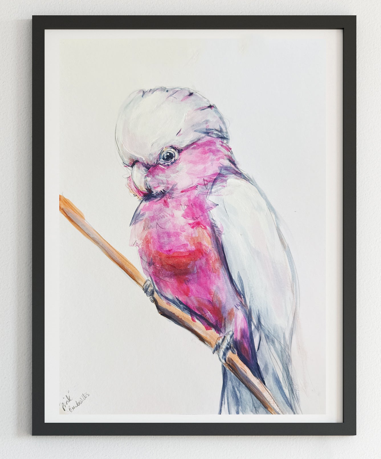 Australian Pink Galah painting A4