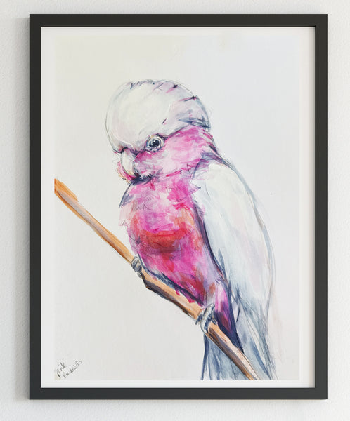 Australian Pink Galah painting A4