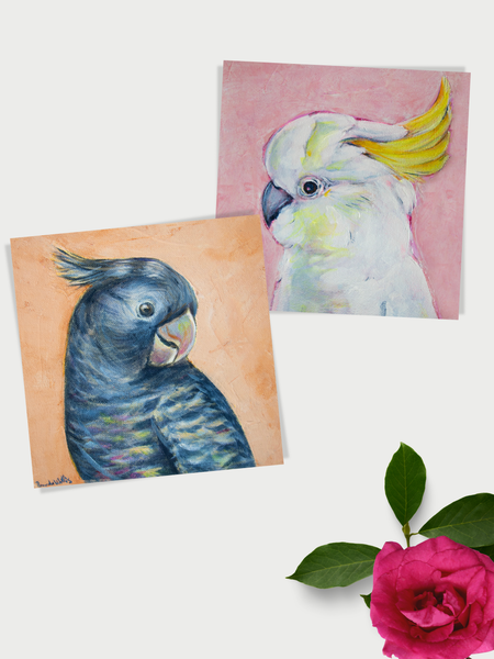 Australian native birds greeting card 6 pack.