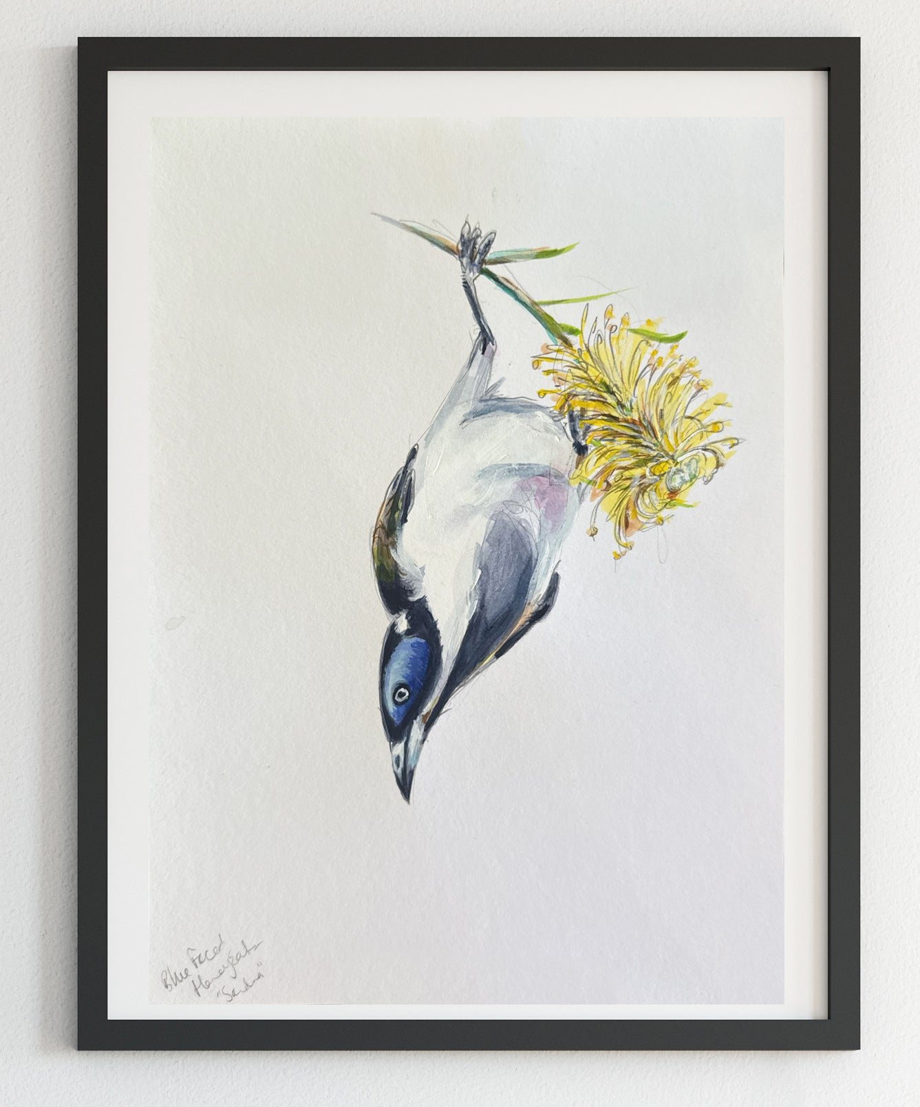 Australian Blue Faced Honeyeater painting A4