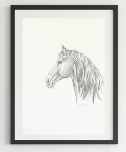 Original Black and White horse pencil sketch A4