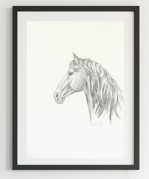Original Black and White horse pencil sketch A4