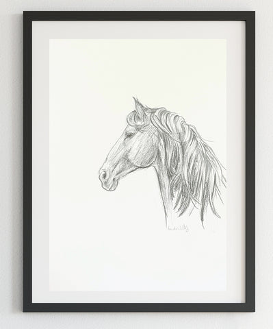 Original Black and White horse pencil sketch A4