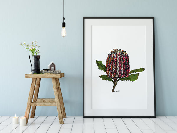 Banksia watercolour & pen artwork PDF downloadable