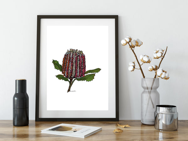 Banksia watercolour & pen artwork PDF downloadable
