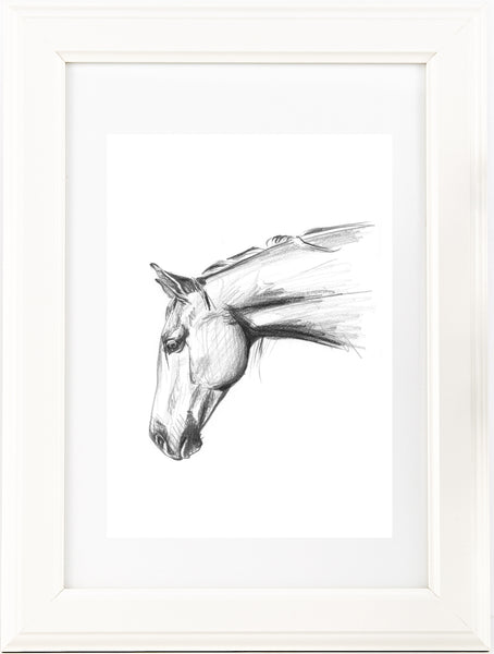 Hand drawn Horse portrait drawing print. Black and White pencil sketch horse lover art.