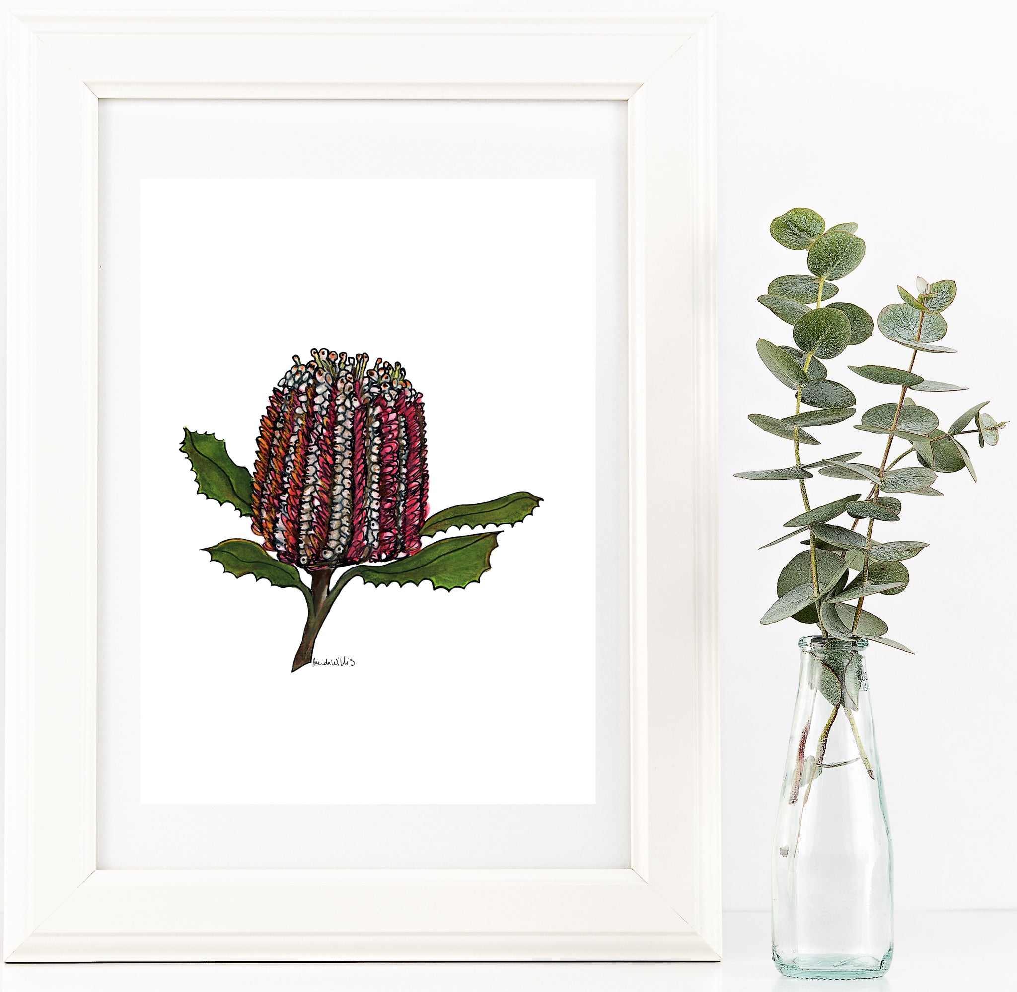 Banksia watercolour & pen artwork PDF downloadable