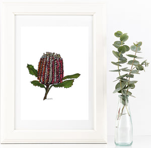 Banksia watercolour & pen artwork PDF downloadable