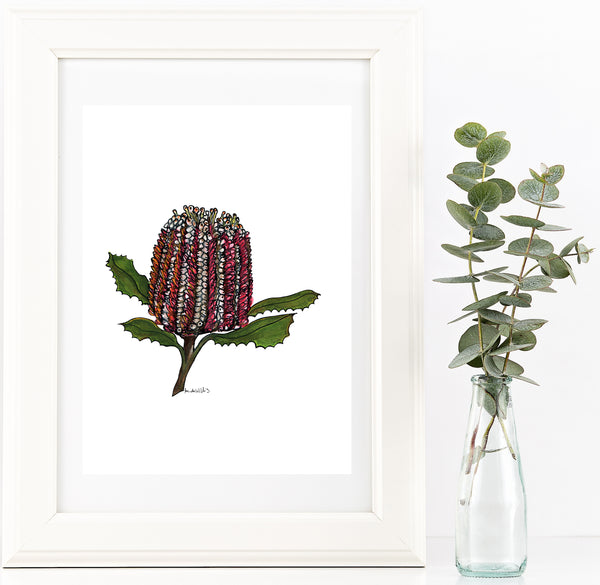 Banksia watercolour & pen artwork PDF downloadable