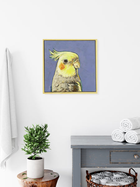 Australian Cockatiel acrylic painting