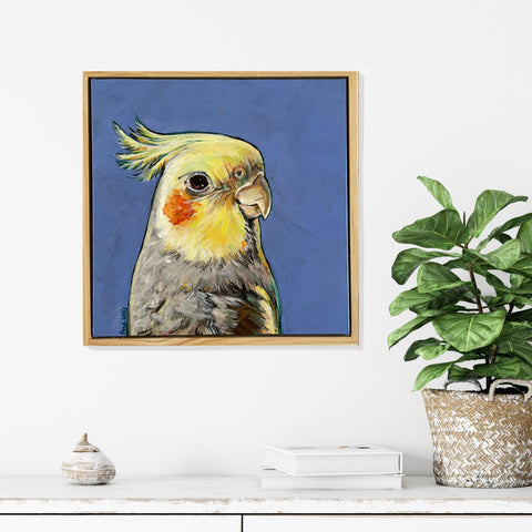 Australian Cockatiel acrylic painting